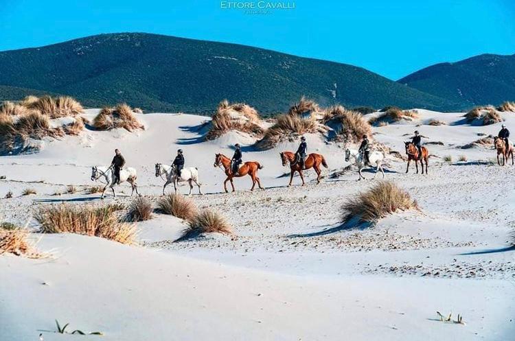 Domus Deiana Case Vacanza San Giovanni Suèrgiu Εξωτερικό φωτογραφία