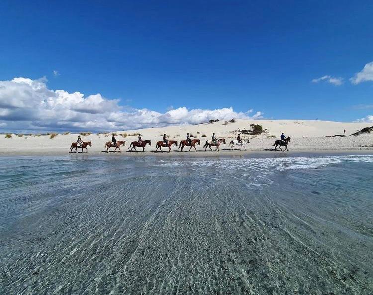 Domus Deiana Case Vacanza San Giovanni Suèrgiu Εξωτερικό φωτογραφία
